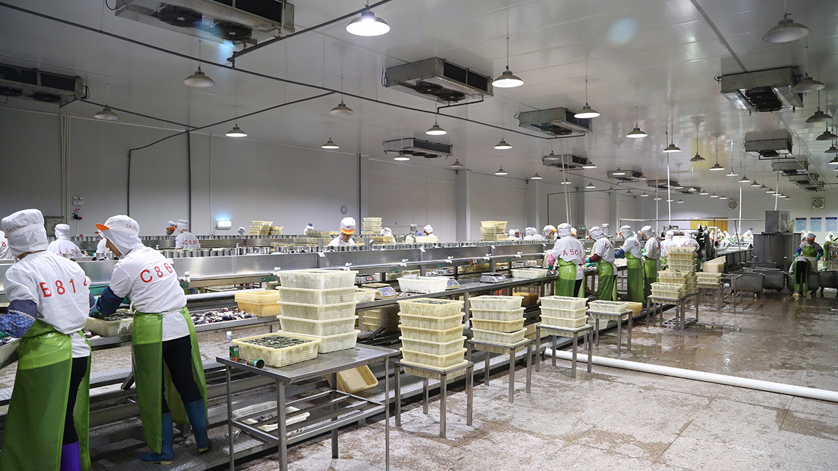 ������ʱ�������ǲ������й����ٷ���վ