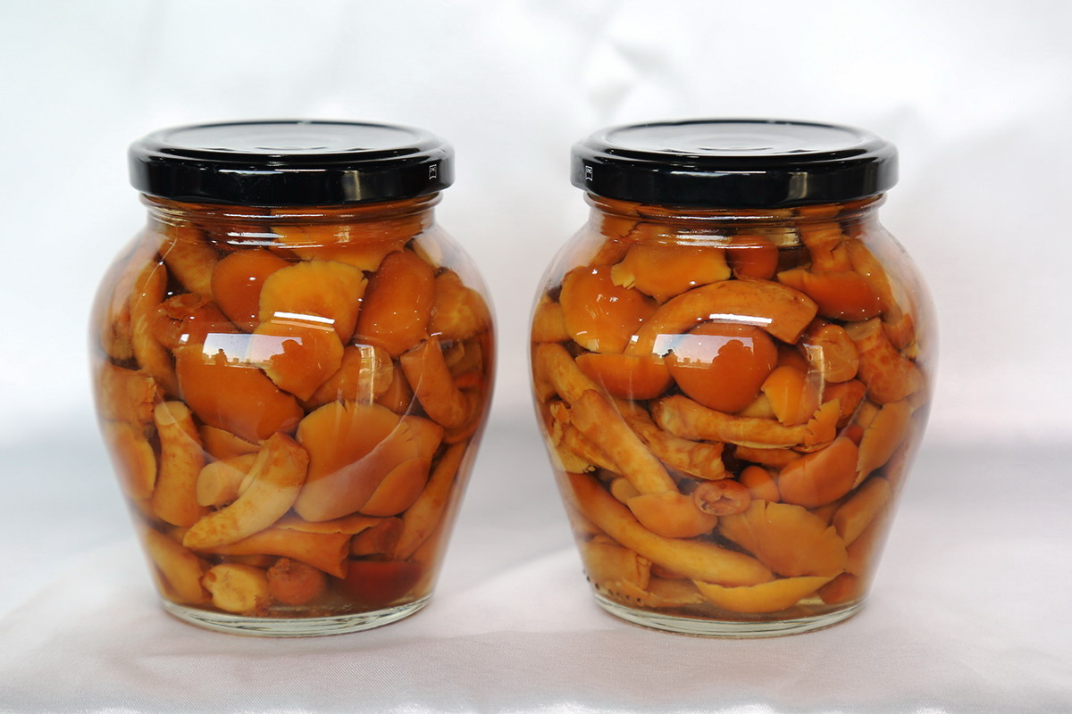 ������ʱ�������ǲ������й����ٷ���վ