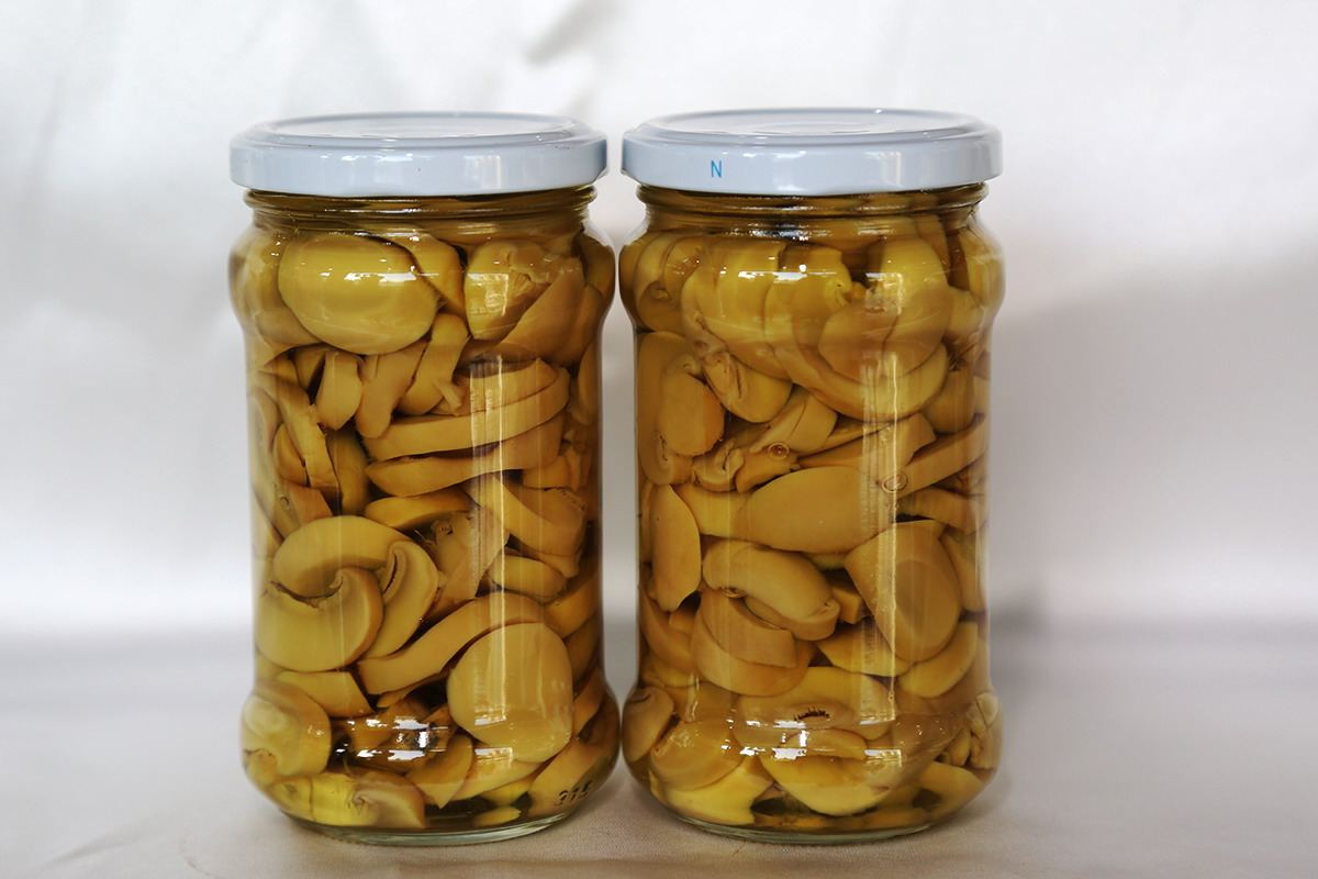 ������ʱ�������ǲ������й����ٷ���վ