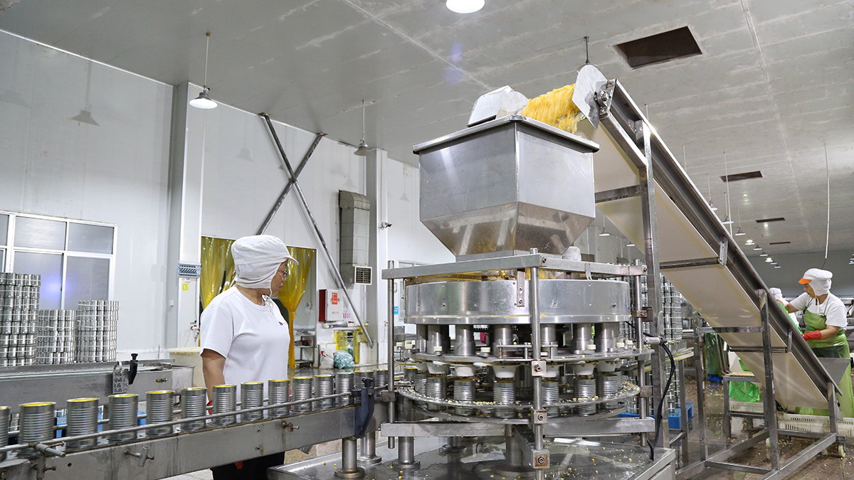 ������ʱ�������ǲ������й����ٷ���վ