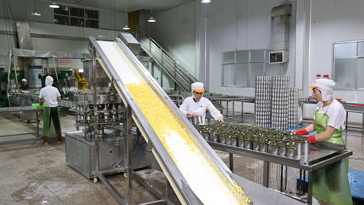 ������ʱ�������ǲ������й����ٷ���վ